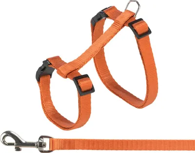 Zdjęcie produktu dla Katzengeschirr mit Leine 27–45 cm/10 mm diverse