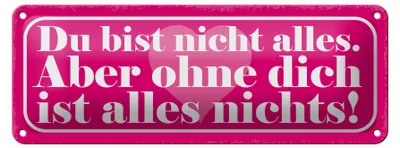 Produktbild von Blechschild Spruch 27x10cm du bist nicht alles aber ohne Dekoration