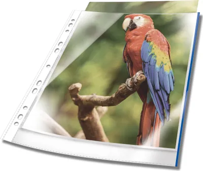 Productafbeelding van Eurobal, polypropyleen, A4-formaat, 80 micron, DURABLE "Premium", blauw