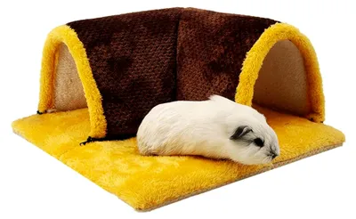 Produktbild von Zusammenklappbarer Kuscheltunnel für Meerschweinchen (Cavia Porcellus), 34×34 cm