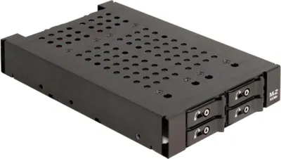 Produktbild von Delock - Mobiles Speicher-Rack - M.2