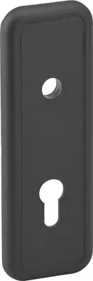Image de Plaque de propreté, 186x62mm, noir - THIRARD