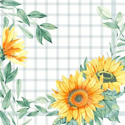 Produktbild von Duni Dunisoft Servietten Sunflower day 40x40cm 60er