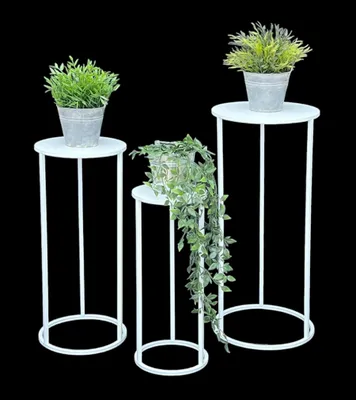 Three white plant stands of varying heights, each holding a potted plant, are arranged against a black background.