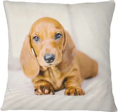 Immagine prodotto di Biancheria da letto eterea Renforcé in cotone bianco 40x40 cm