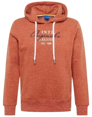 Obrázek produktu pro Mikina s kapucí Jack&Jones JORWILLOWBRANDING SWEAT HOOD pro Pánské