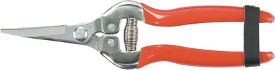 Obrázek produktu pro Zahradní nůžky Strend Pro Premium 803AS, 185 mm, zahradní nůžky, na ovoce, květiny a rostliny, zahnuté