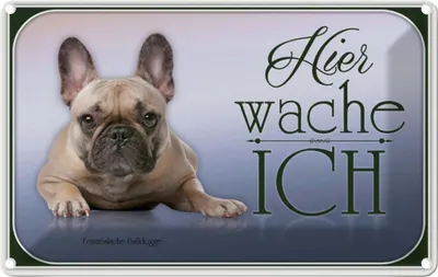 Produktbild von vianmo Blechschild 20x30 cm Hund Französische Bulldogge hier Tier Haustier