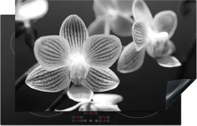 Produktbild von KitchenYeah© Herdabdeckplatte Orchideenblüte - schwarz und weiß , 85x52cm, Küche Deko, Glaskeramikkochfeld Herdabdeckung, Abdeckplatte fùr Kochfeld