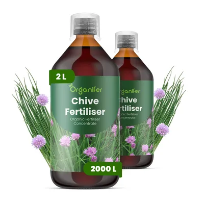 Produktbild von Schnittlauch Flüssigdünger 2x1L – 2-1-8 NPK – Flüssigdünger Für Kräuter – Für Aromatische Blätter & Kräftiges Wachstum – Organifer