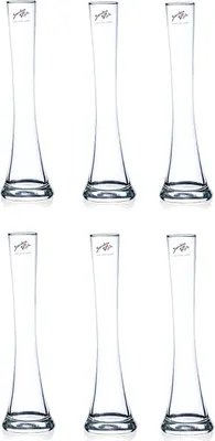 Produktbild von 6er Set Glasvasen, Blumenvasen SOLIFLEUR H. 26cm D. 4cm + 7cm klar Sandra Rich
