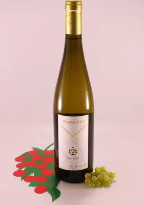 Immagine prodotto di Sylvaner della Valle Isarco - 2024 - Cantina Strasserhof