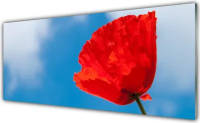 Produktbild von Acrylglasbilder 125x50 Wandbild Druck Tulpe Pflanzen
