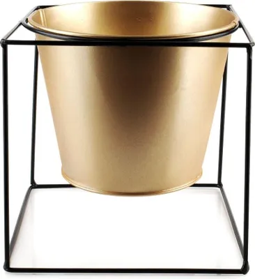 Produktbild von Goldgehäuse Swen 16 cm auf Ständer