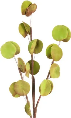 Obrázek produktu pro Flore 710 Délka 90 cm Délka s listy 40 cm Délka listu 6 cm Zelená barva
