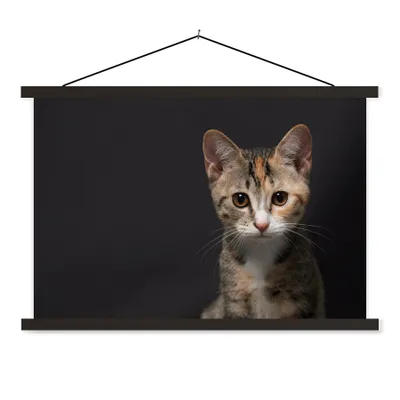 Produktbild von MuchoWow® Textilposter Katze - Schwarz - Porträt 60x40 cm mit schwarzem Rahmen - Hölzernes