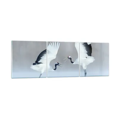 Produktbild von Bilder auf glas - 3 Teile - Kraniche kämpfen tanzen - 150x50cm - Glasbilder - Wandbilder - Bilder - zum Aufhängen bereit - Wanddekoration aus Glas - Glas Bilder - Wandbild auf Glas - GCA150x50-4497
