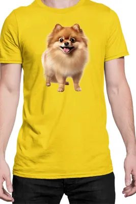 Immagine prodotto di Maglietta da uomo Dogs Breeds Pomeranian Dog Breed 005, Man L , Jaune