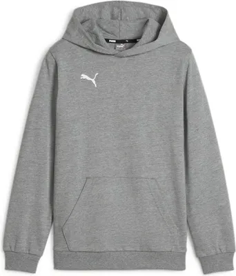 Produktbild von Puma Teamgoal Kapuzenpullover Herren - Hellgrau Meliert