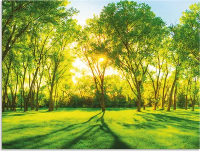 Produktbild von ARTland Wandbild Alu für Innen & Outdoor Frühlingswärme II Größe: 80x60 cm