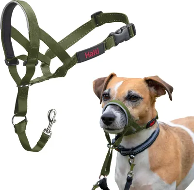 Produktbild von HALTI Kopfgeschirr – Anti-Zug-Halsband für kleine Hunde, leicht, Größe 1, Waldgrün