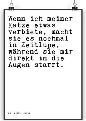 Produktbild von Mr. & Mrs. Panda Bild Wenn ich meiner Katze... DIN A5 - Weiß - Geschenk, kunstdruck poster, Sprüche, Wandbild, Katze, drucke, lustig, Plakat, wanddeko, Kater, Tier