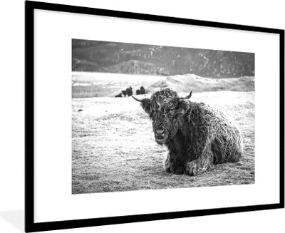 Produktbild von MuchoWow® Gerahmtes Poster Schottischer Highlander - Berg - Tiere 90x60 cm - Poster mit Schwarzem Bilderrahmen Wandposter Rahmen Foto Bilder - Wanddekoration - Fotos