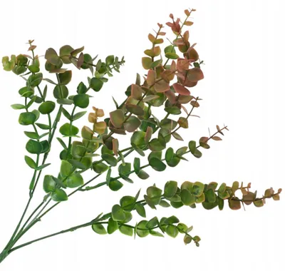Produktbild von Akces Eukalyptus-Bukett künstliche Zweige Dekoration 40cm