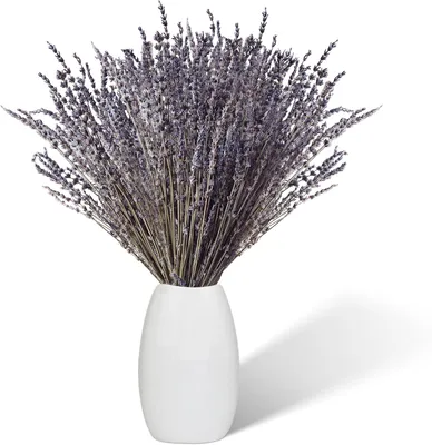 Imagen del producto de Lavanda seca, 100 tallos, 43 cm de largo, flores secas naturales para decoración