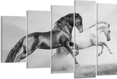 Produktbild von Bild auf Leinwand - Leinwandbild - Pferde Tiere Galopp Wiese - 150x100cm - Wand Bild - Wanddeko - Leinwanddruck - Bilder - Kunstdruck - Wanddekoration - Leinwand bilder - Wandkunst - EG150x100-2683