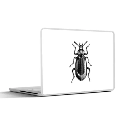 Produktbild von MuchoWow® Laptop Aufkleber Sticker Cover Käfer - Tiere - Vintage 31x22.5 cm - Laptop-Deko