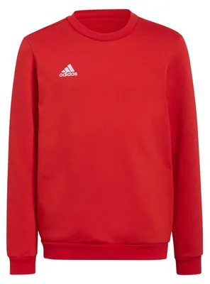 Produktbild von adidas Entrada 22 Sweatshirt 152 TEPORE