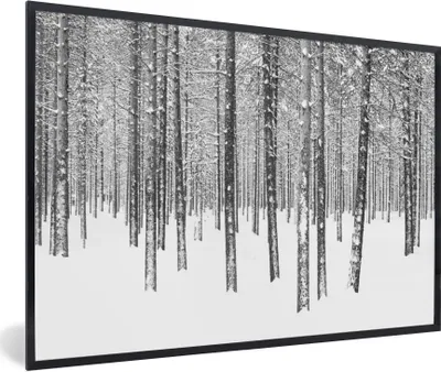 Produktbild von MuchoWow® MuchoWow® Gerahmtes Poster Tannenbäume im Schnee 90x60 cm - Poster mit zchwarzem Bilderrahmen - Fotorahmen - Foto-Plakat