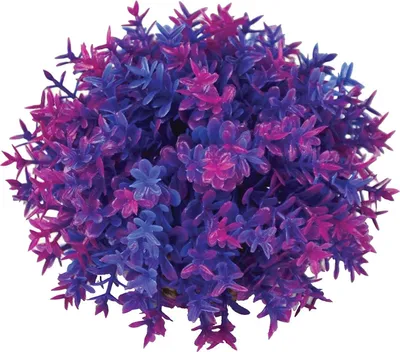 Obrázek produktu pro biOrb Flower ball purple