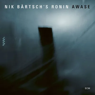 Obrázok produktu pre Nik Bärtsch: Awase (180g) -   - (LP / A)