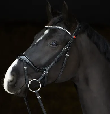 Produktbild von Kieffer Trensenzaum Ultrasoft Amy Shine schwarz, Größe Pferd:Warmblut