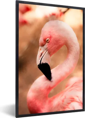Produktbild von MuchoWow® MuchoWow® Gerahmtes Poster Porträt eines rosa Flamingos 60x90 cm - Poster mit zchwarzem Bilderrahmen - Kunst