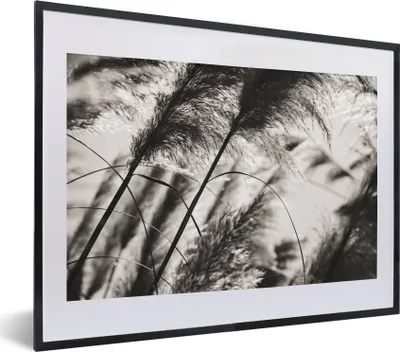 Produktbild von MuchoWow® Gerahmtes Poster Pampasgras - Schwarz - Weiß - Pflanze 40x30 cm - Poster mit Schwarzem Bilderrahmen Wandposter Rahmen Foto Bilder - Bilderrahmen - Poster im Rahmen