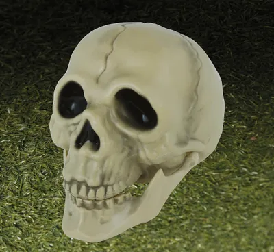 Immagine prodotto di Scheletro Decorazione da tavolo Teschio Decorazione di Halloween Teschio Creepy Props, Colore: Beige