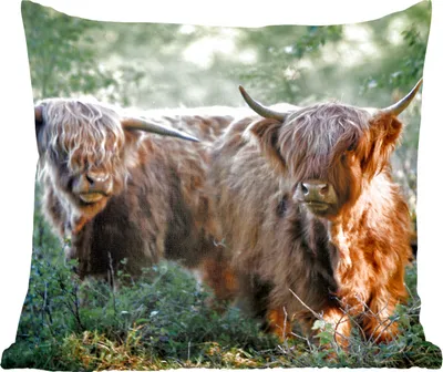 Produktbild von MuchoWow® Zierkissen Sofakissen Wohnzimmer Dekokissen 40x40 cm Schottische Hochlandrind - Wald - Tiere - Foto Kissen - Schlafzimmer Dekoration