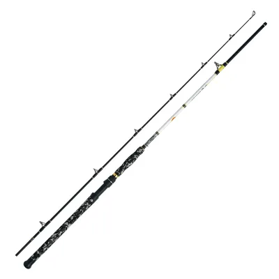 Produktbild von WFT Catbuster Spin 20-210g 2,70m