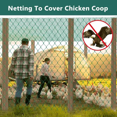 Imagen del producto de Red de protección para pájaros, resistente a los rayos UV, de 2 m x 10 m, con una malla de 4 cm, ideal para jardín y balcón