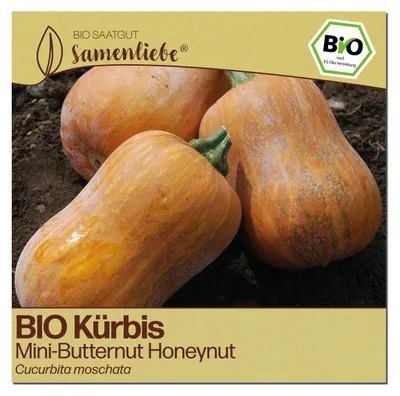 Produktbild von Samenliebe  Kürbis Samen | Honeynut - süß & mini - samenfestes  Saatgut