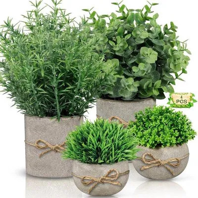 Immagine prodotto di Mini vasi in plastica, set da 4 pezzi, piccoli vasi in plastica, mini vasi in plastica, vasi in plastica per camere da letto, cucine, bagni, decorazione d'interni