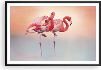 Produktbild von Gerahmtes Poster - Schwarzer Rahmen - Flamingos Exotik Vögel - 91,5x61 cm - Wand Bild - Wanddeko - Wandbilder - Kunstposter - Wandposter - Bilderrahmen - Bilder - Kunstdruck - P2BAA91x61-5044