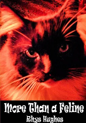 Produktbild von More Than a Feline