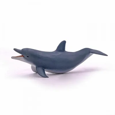 A toy dolphin on a white background.