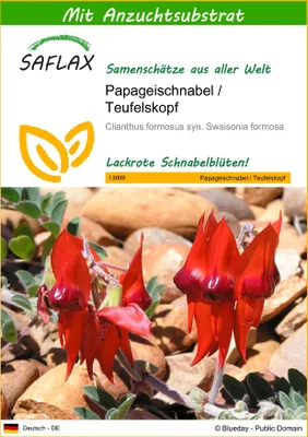Produktbild von SAFLAX - Papageischnabel / Teufelskopf - 20 Samen - Mit keimfreiem Anzuchtsubstrat - Clianthus formosus