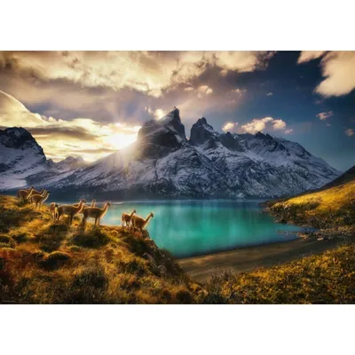 Immagine prodotto di Heye - Guanacos Standard 1000 pezzi