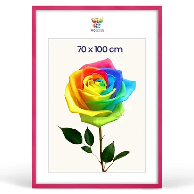 Produktbild von MG Design Bilderrahmen Rosa 70x100 cm - Posterrahmen Echtholz mit Acrylglas, verstärkte Wandaufhängung, hoch/quer